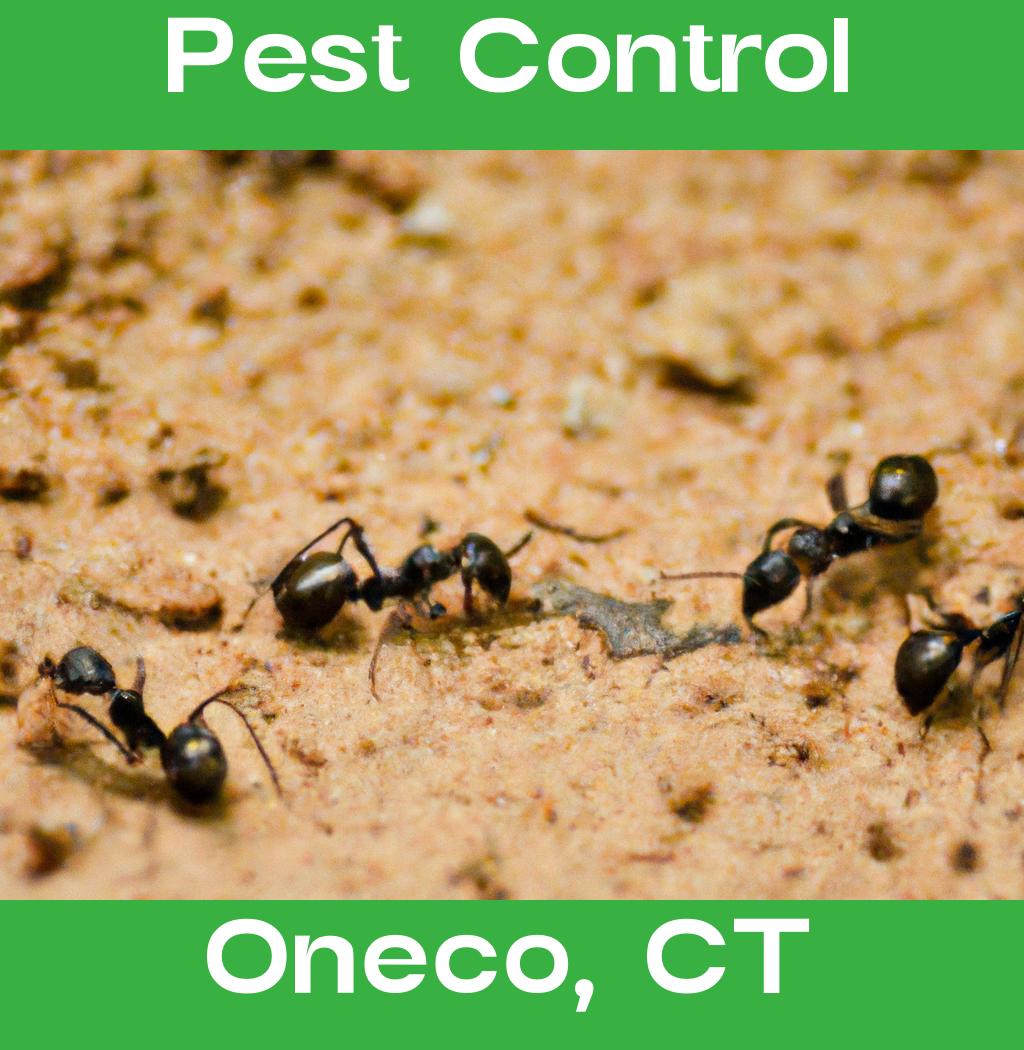 pest control in Oneco Connecticut