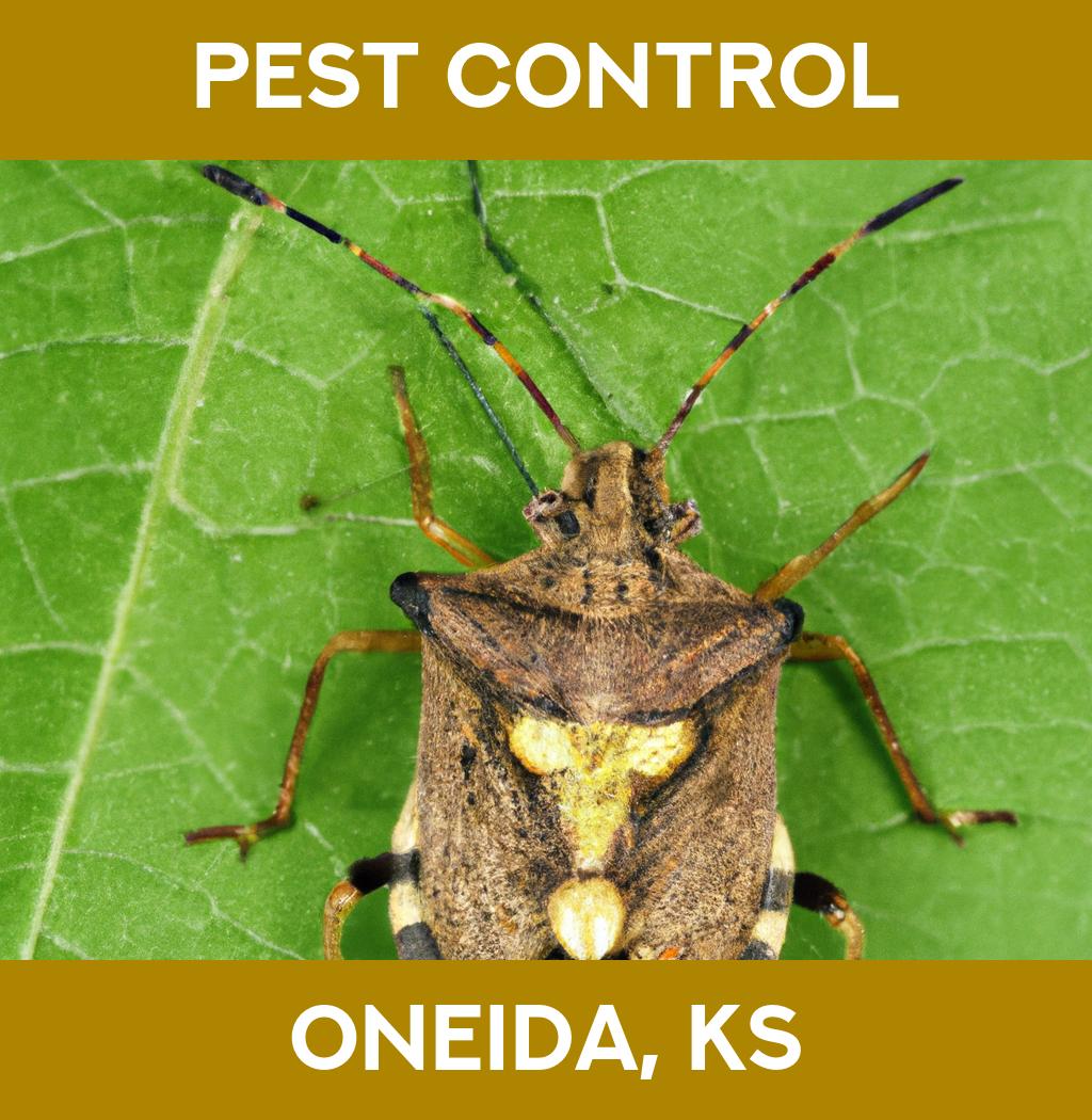 pest control in Oneida Kansas