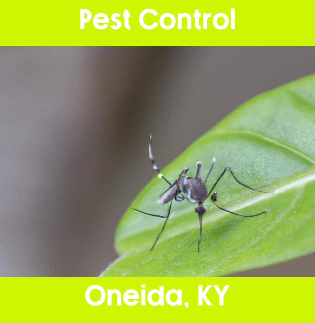 pest control in Oneida Kentucky