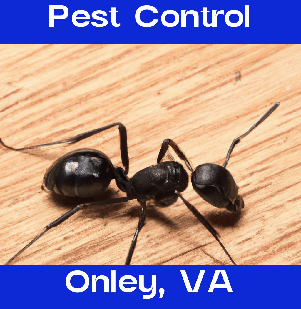 pest control in Onley Virginia