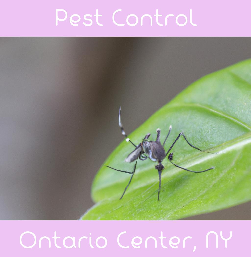 pest control in Ontario Center New York