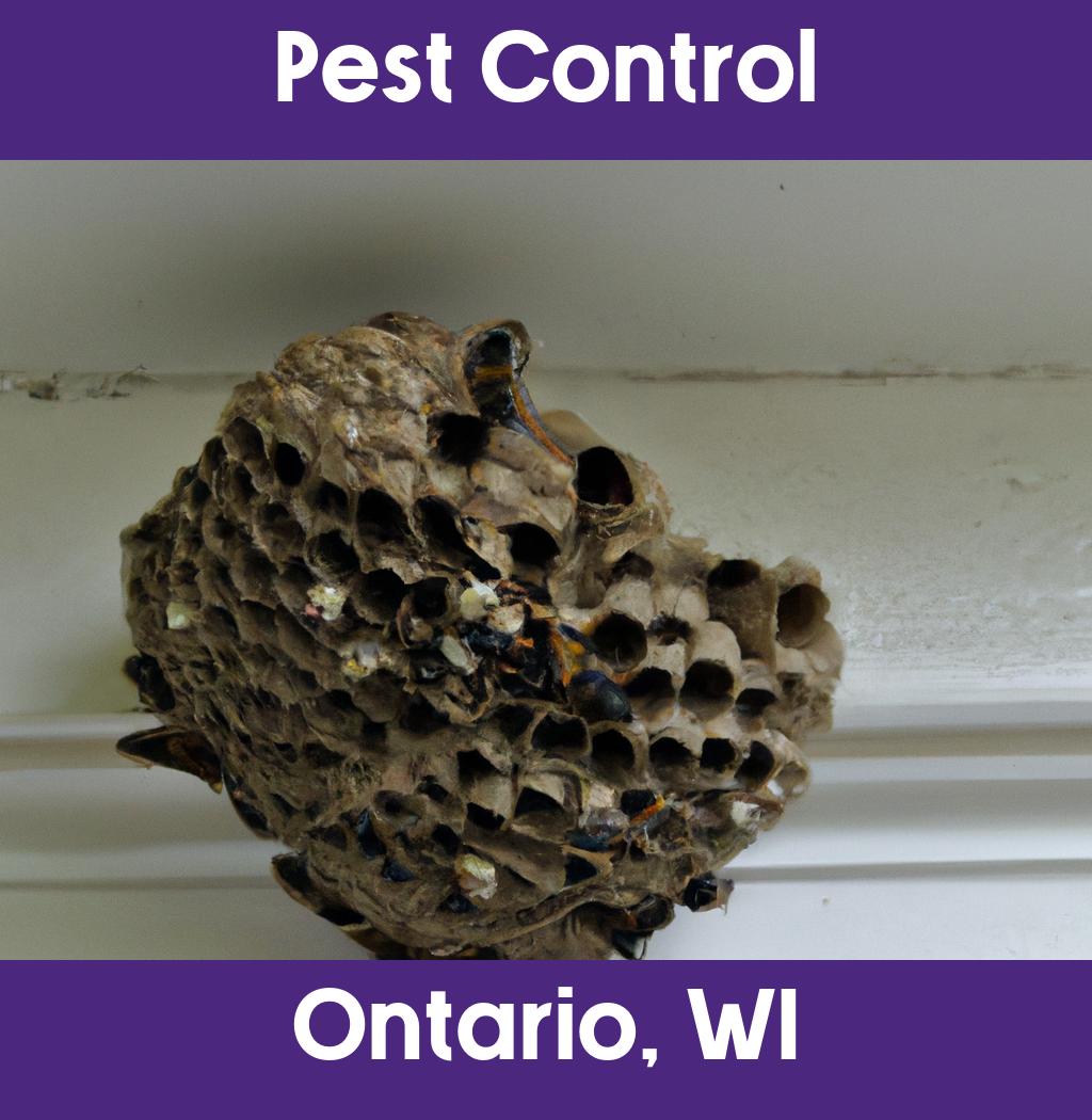 pest control in Ontario Wisconsin