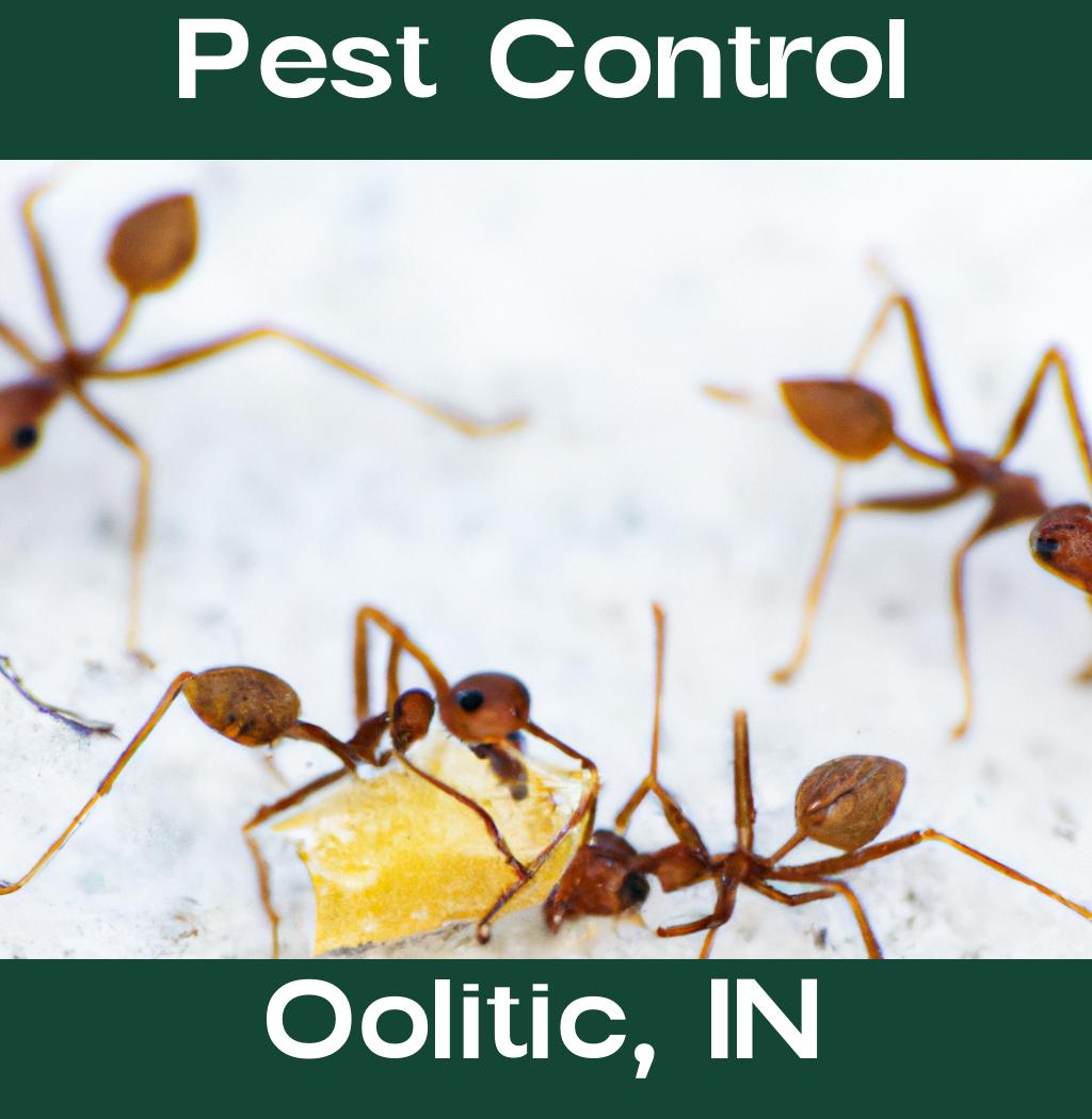pest control in Oolitic Indiana