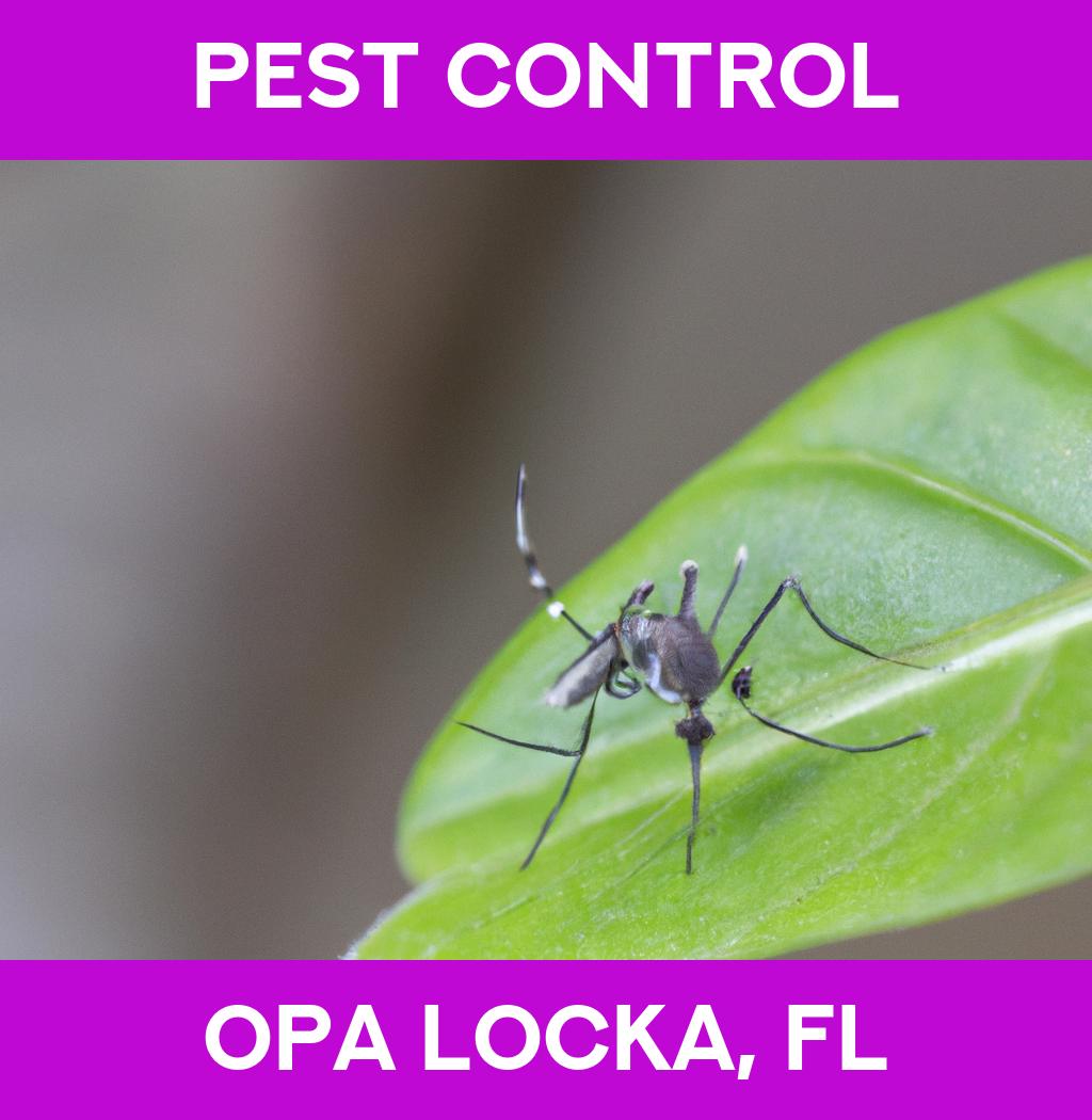 pest control in Opa Locka Florida