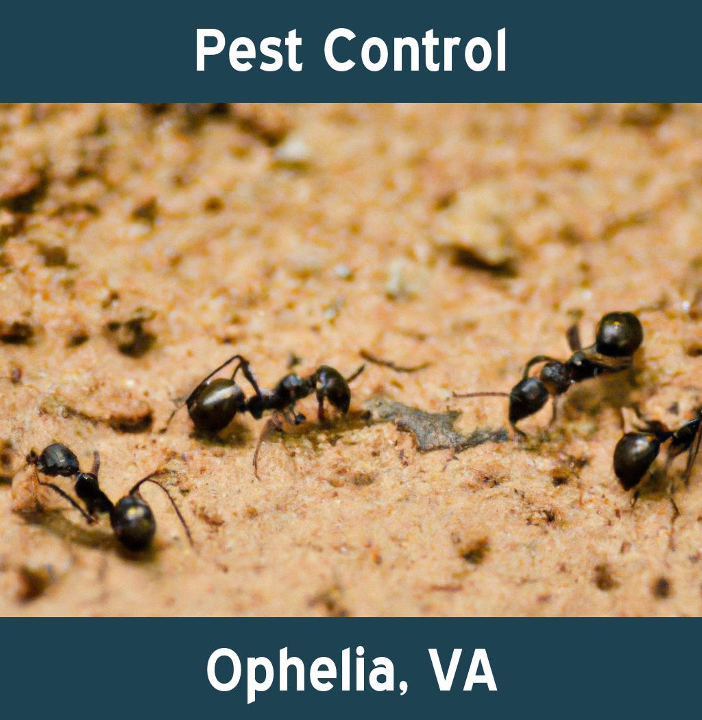 pest control in Ophelia Virginia
