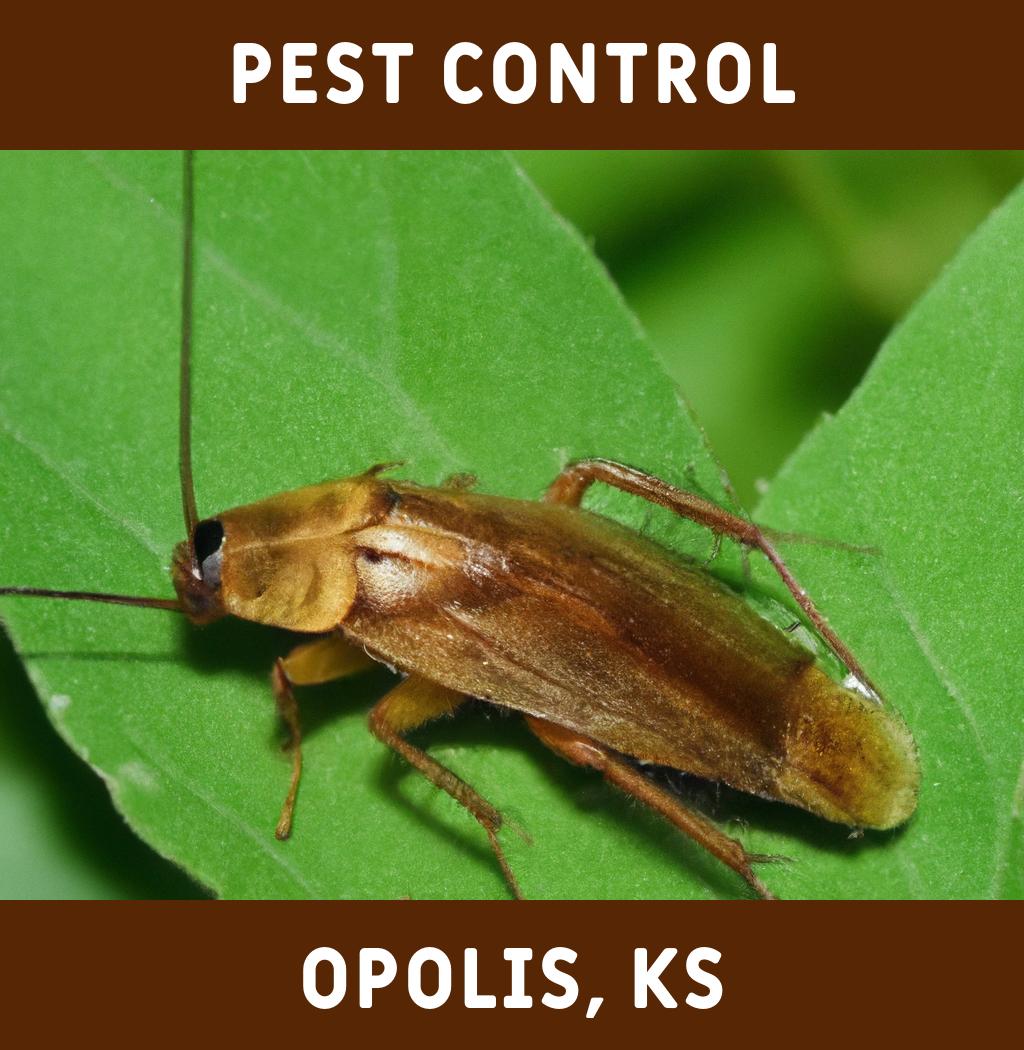 pest control in Opolis Kansas