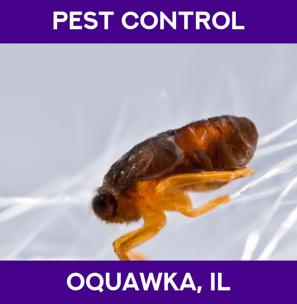 pest control in Oquawka Illinois