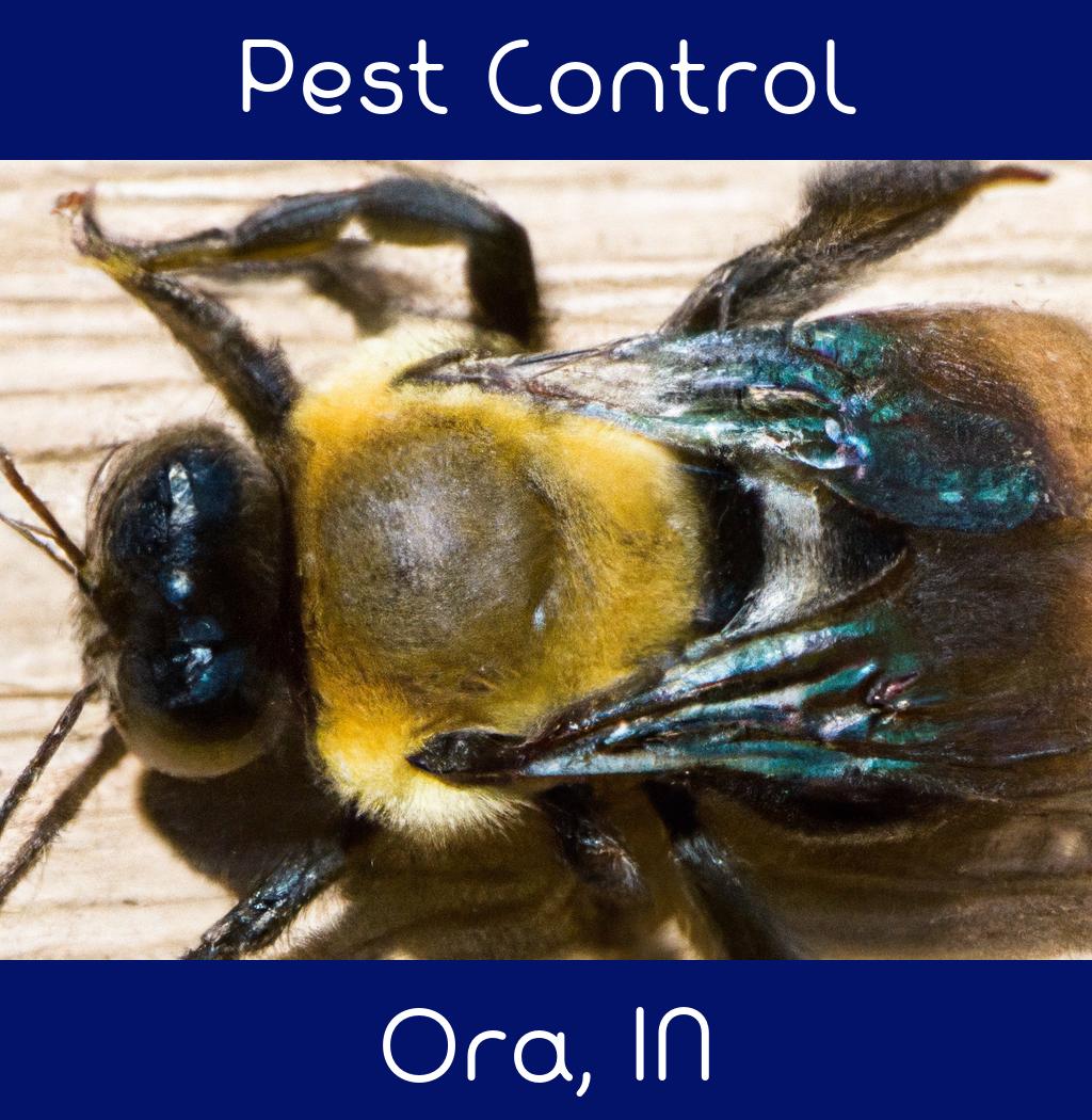 pest control in Ora Indiana