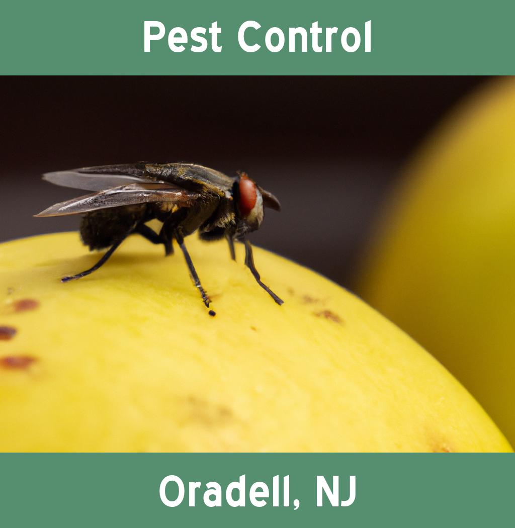 pest control in Oradell New Jersey