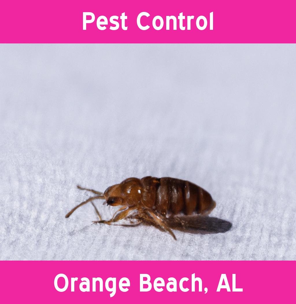 pest control in Orange Beach Alabama
