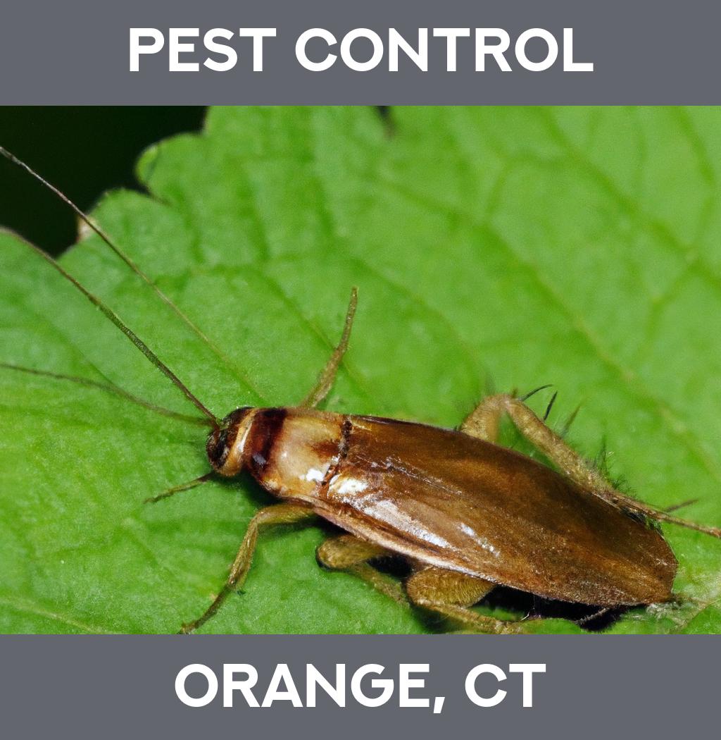 pest control in Orange Connecticut
