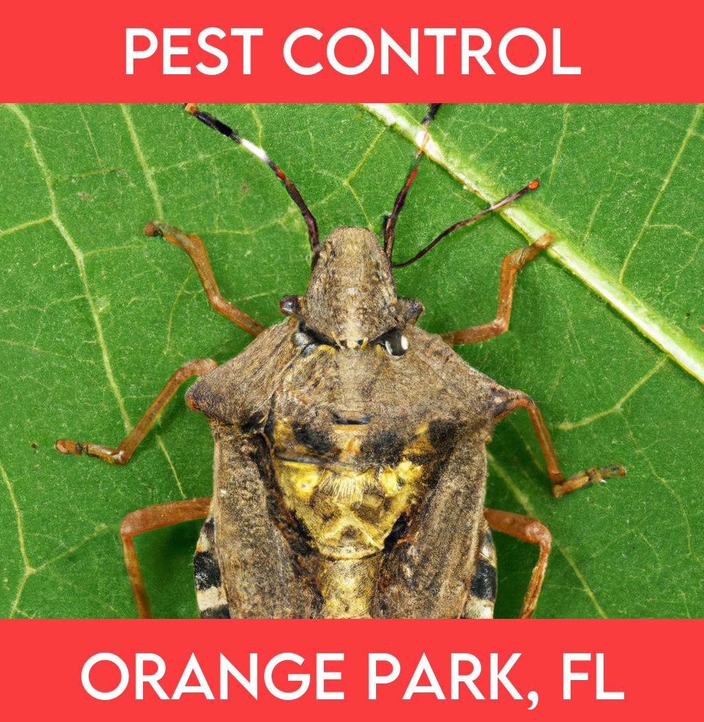 pest control in Orange Park Florida