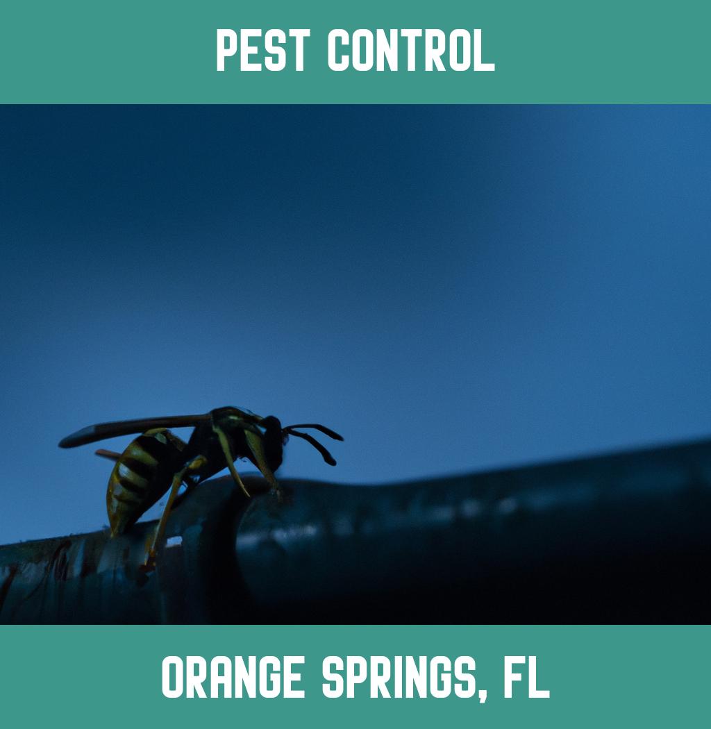 pest control in Orange Springs Florida