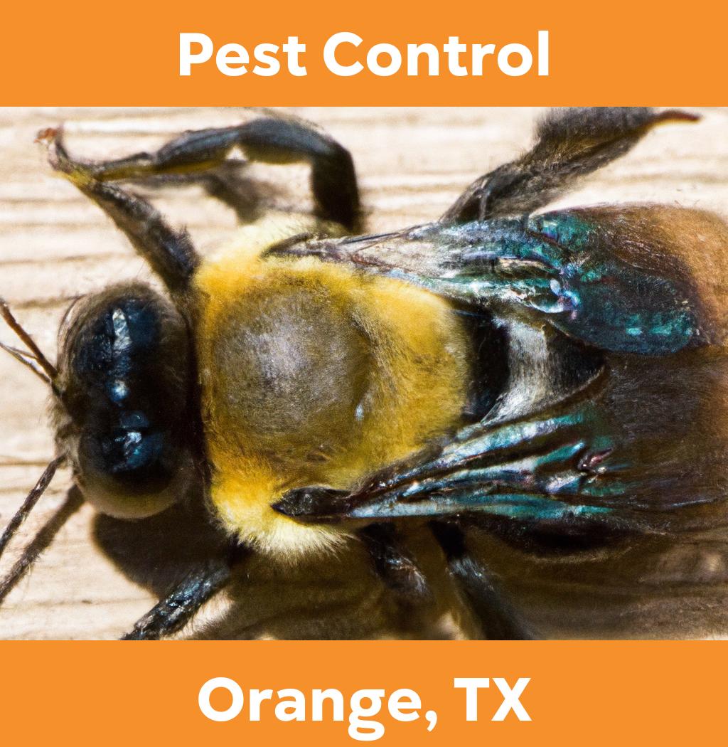pest control in Orange Texas