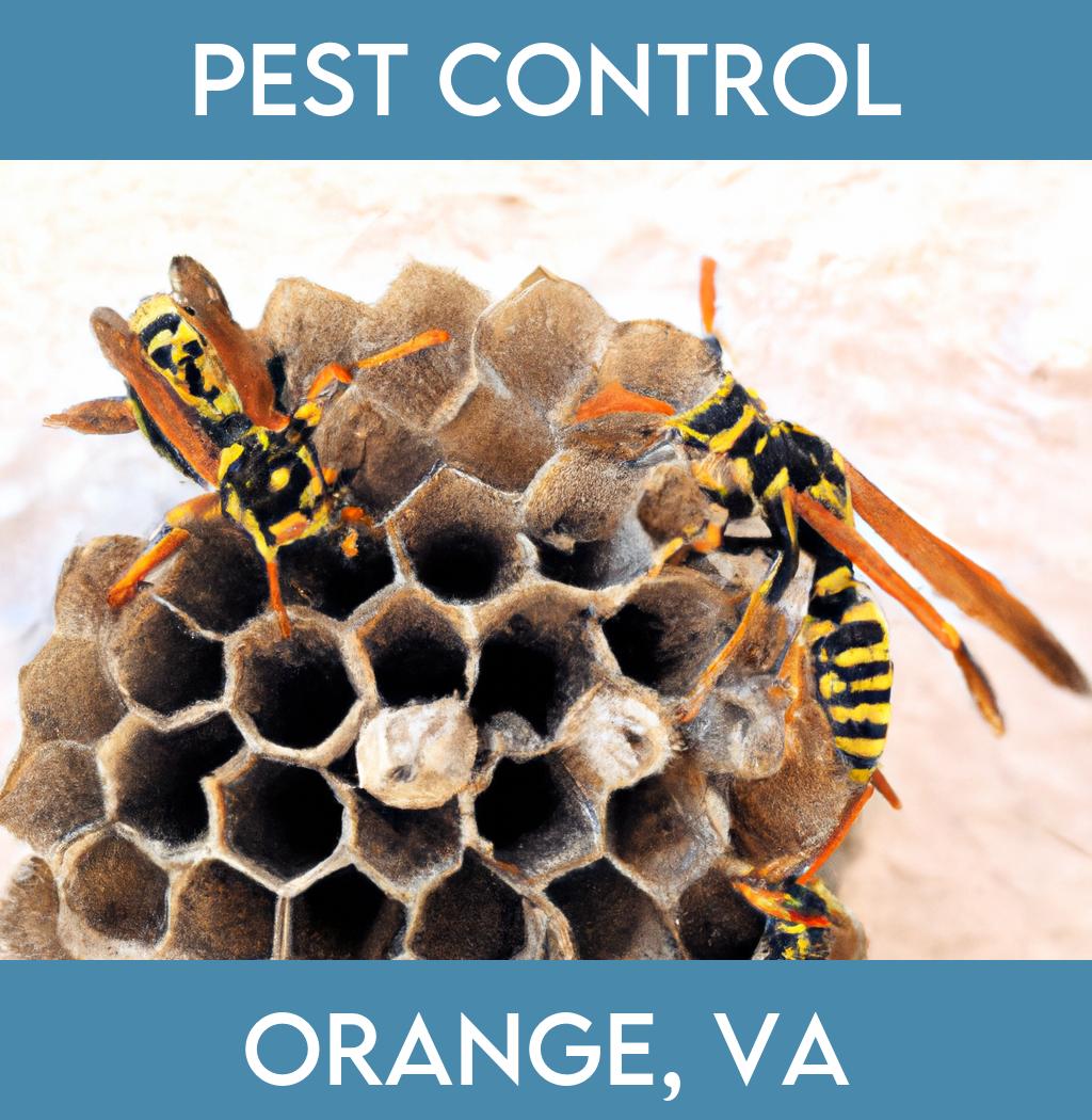 pest control in Orange Virginia