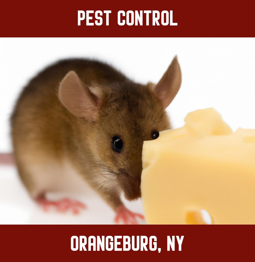 pest control in Orangeburg New York