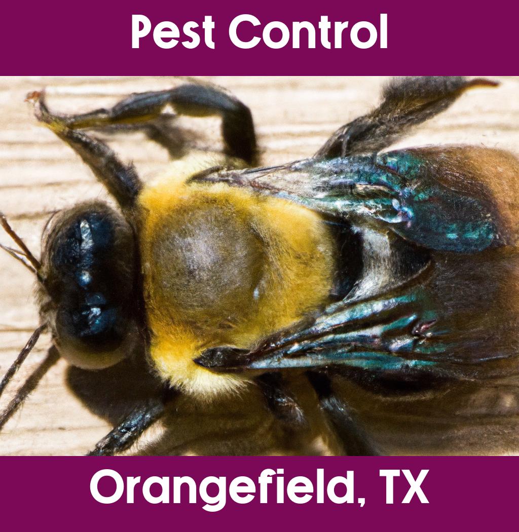 pest control in Orangefield Texas