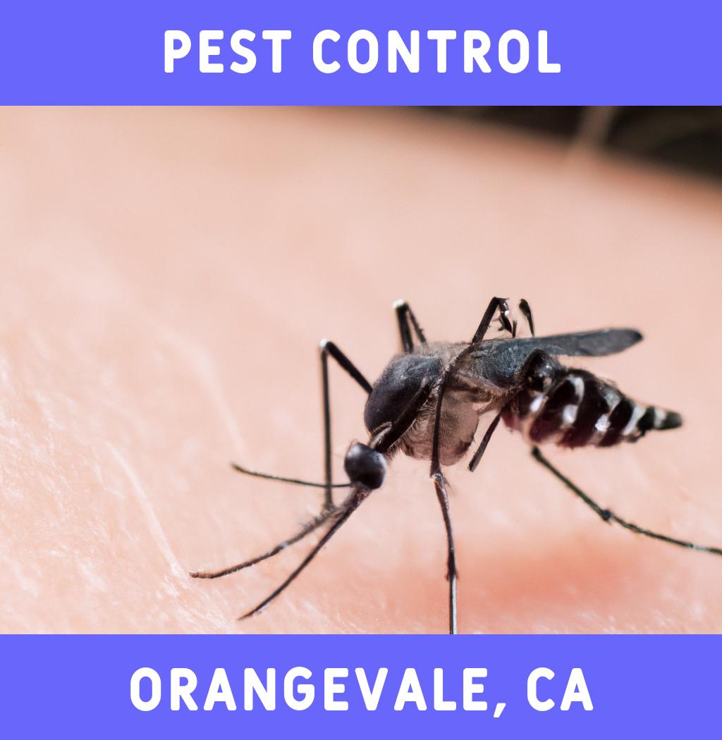 pest control in Orangevale California
