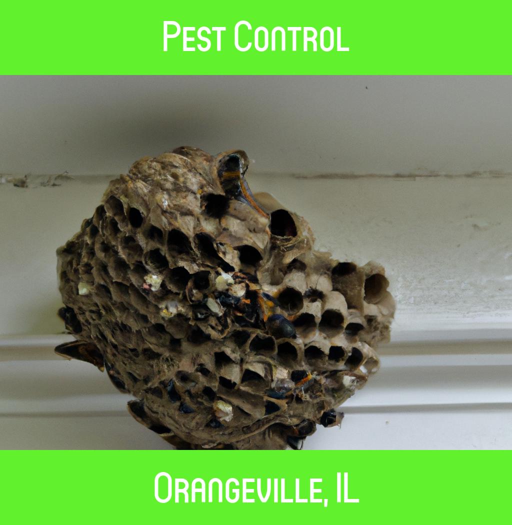 pest control in Orangeville Illinois