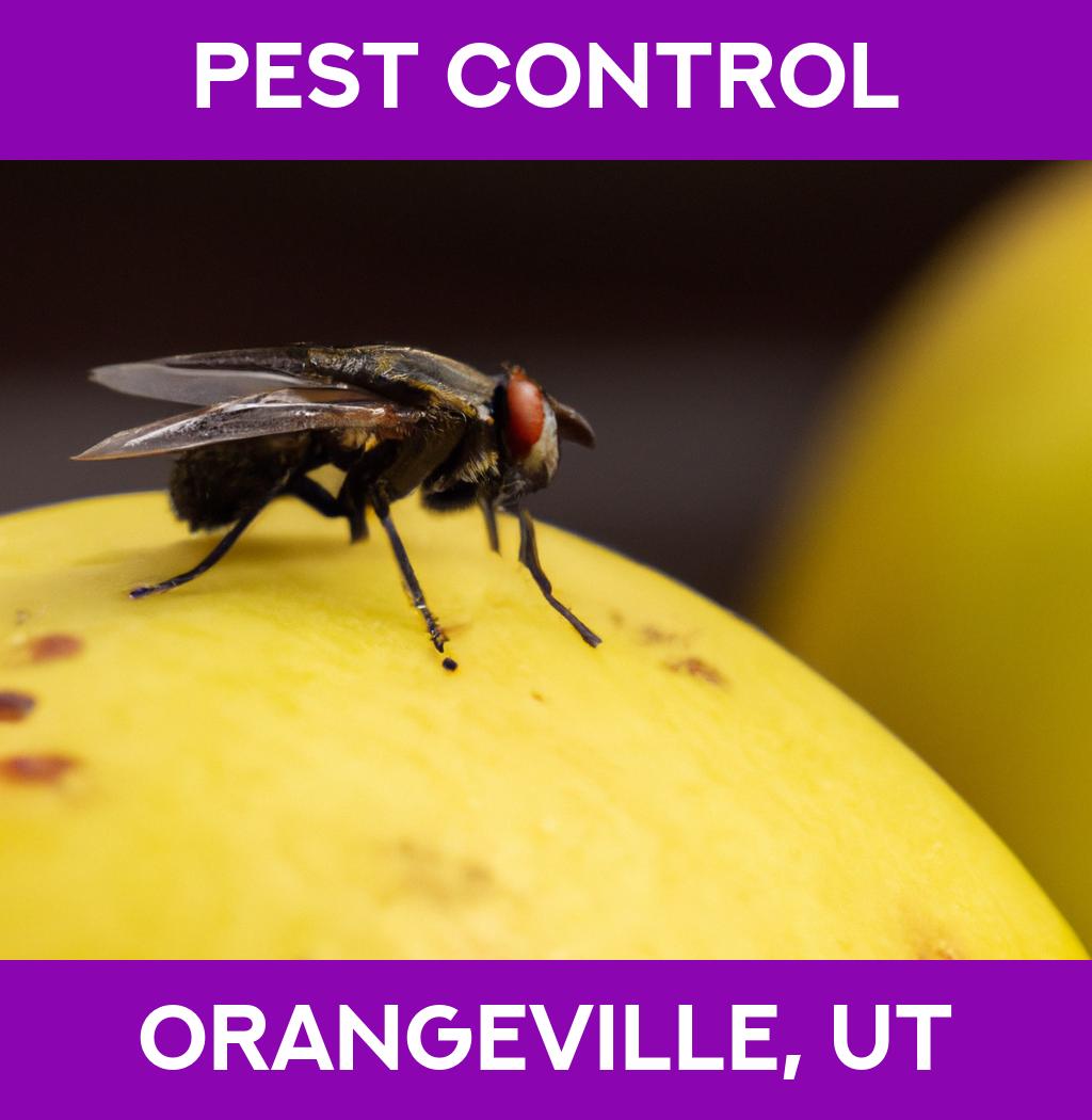 pest control in Orangeville Utah