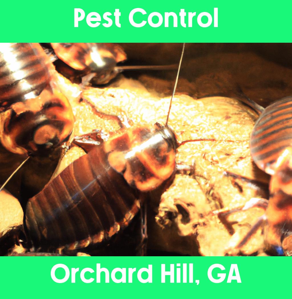 pest control in Orchard Hill Georgia