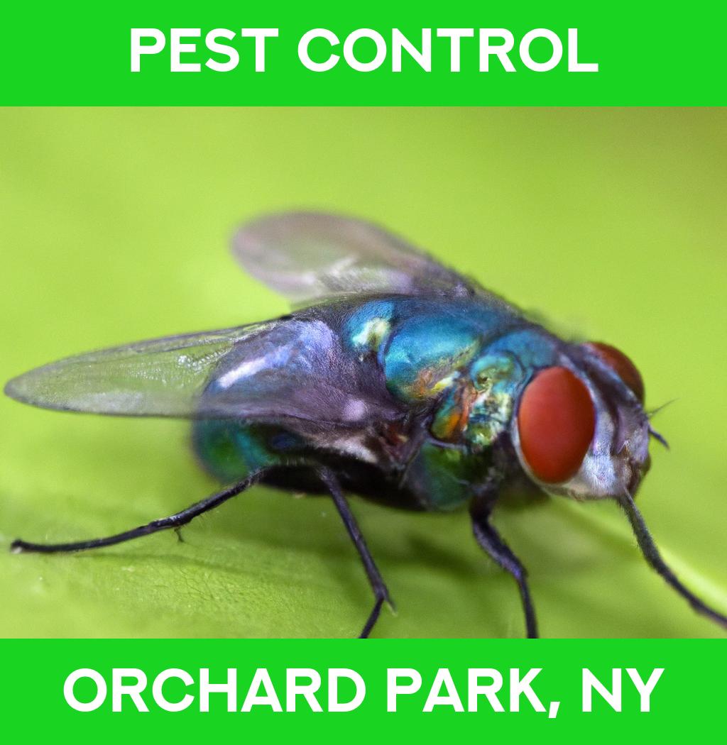 pest control in Orchard Park New York