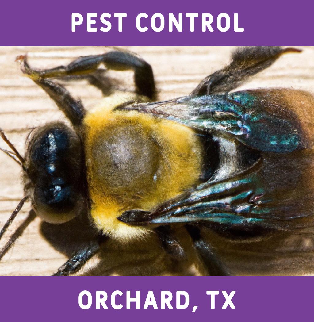 pest control in Orchard Texas