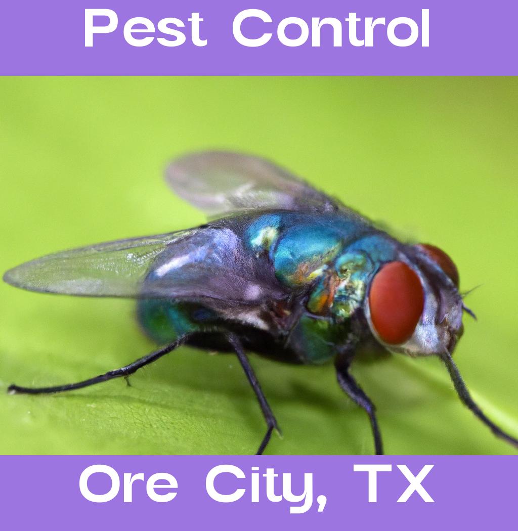 pest control in Ore City Texas