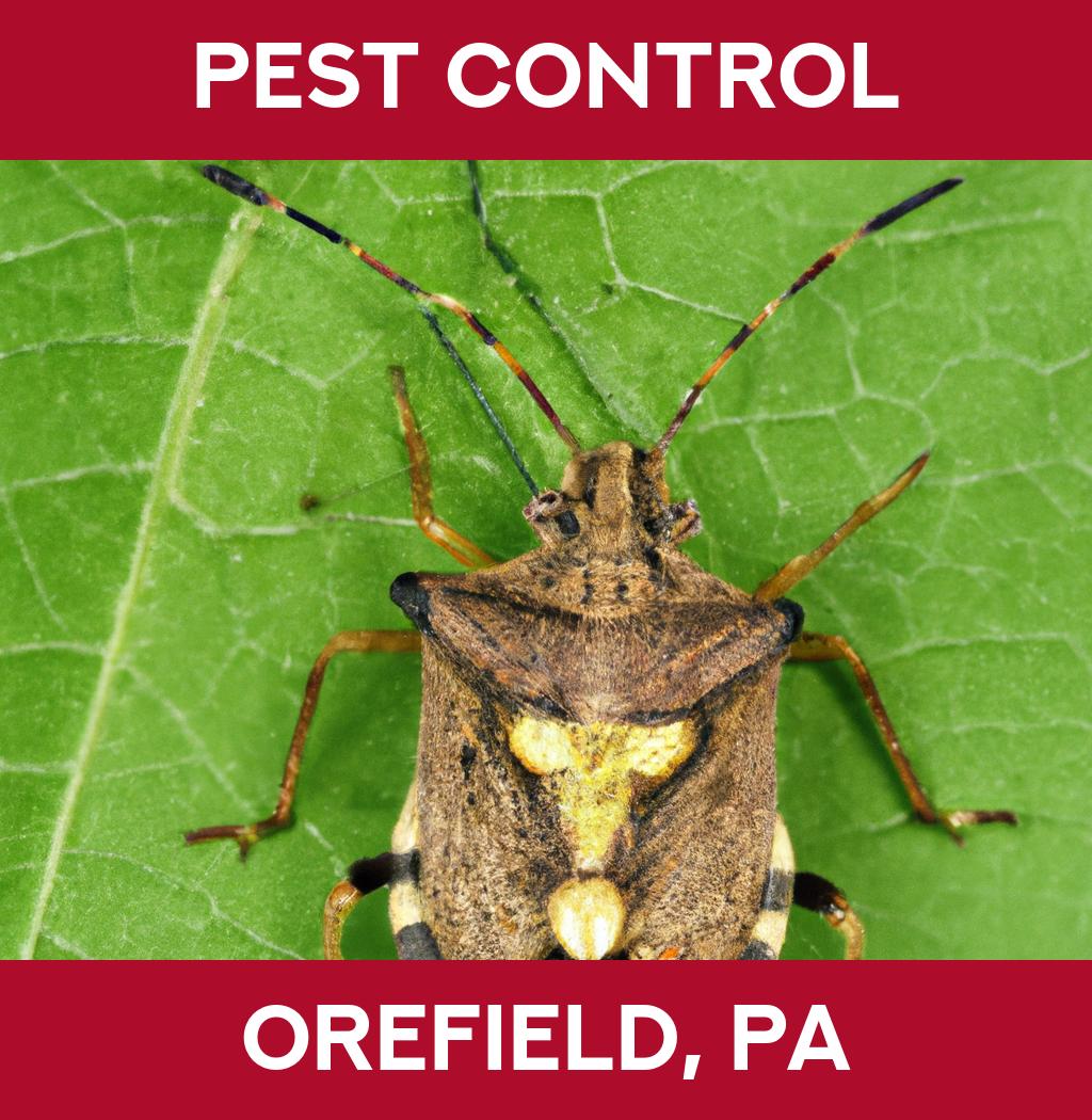 pest control in Orefield Pennsylvania