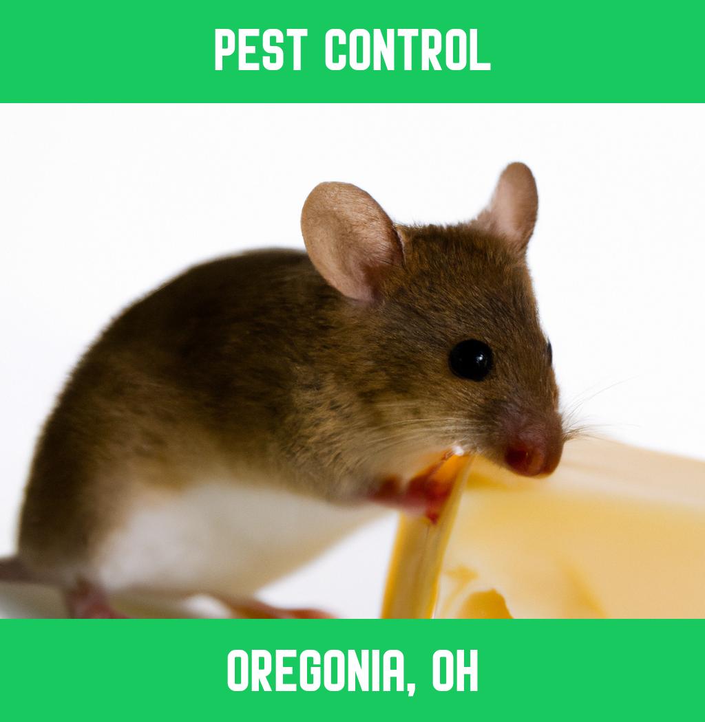 pest control in Oregonia Ohio