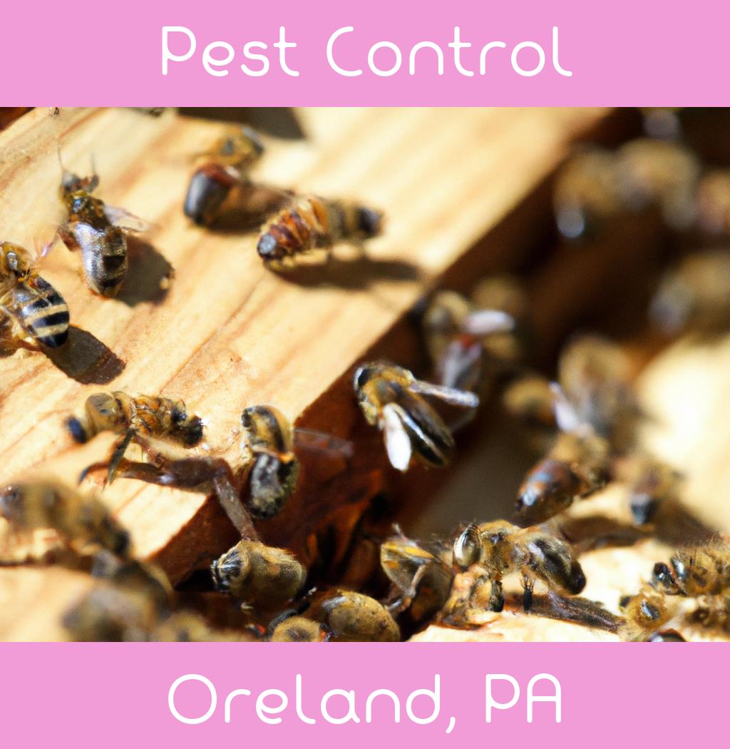 pest control in Oreland Pennsylvania