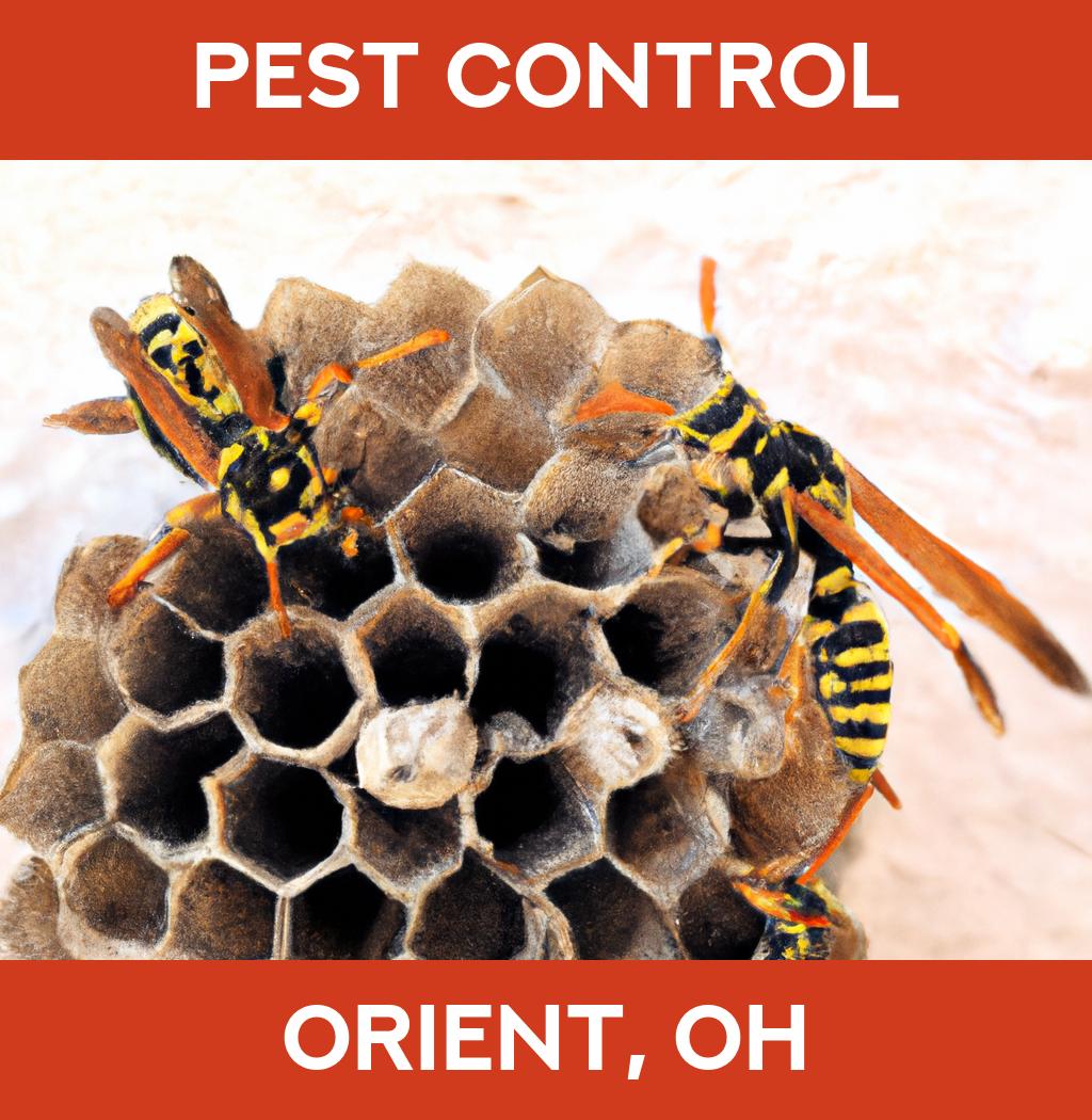 pest control in Orient Ohio