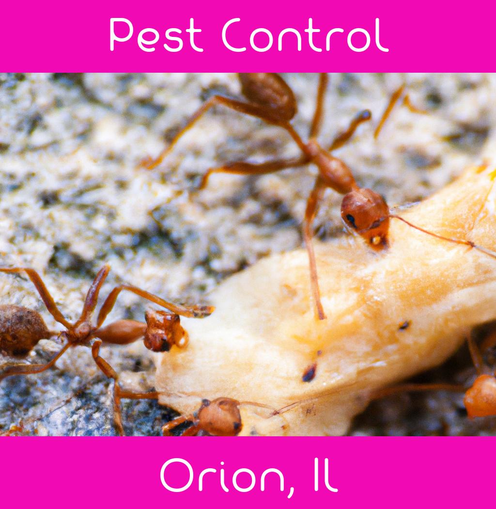 pest control in Orion Illinois