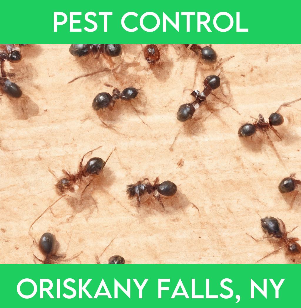 pest control in Oriskany Falls New York