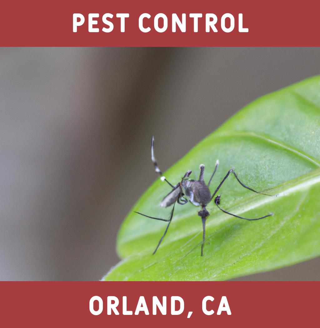 pest control in Orland California