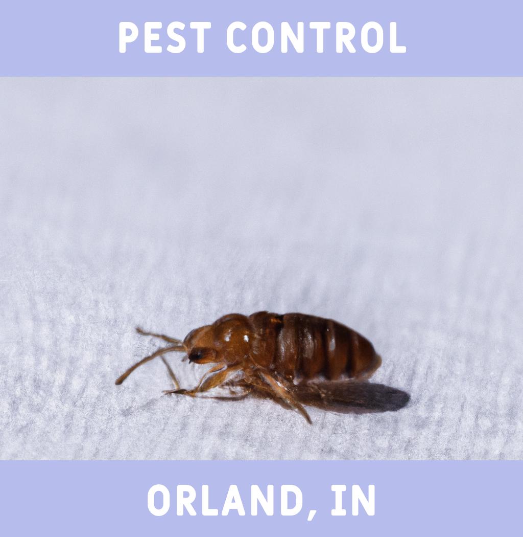 pest control in Orland Indiana