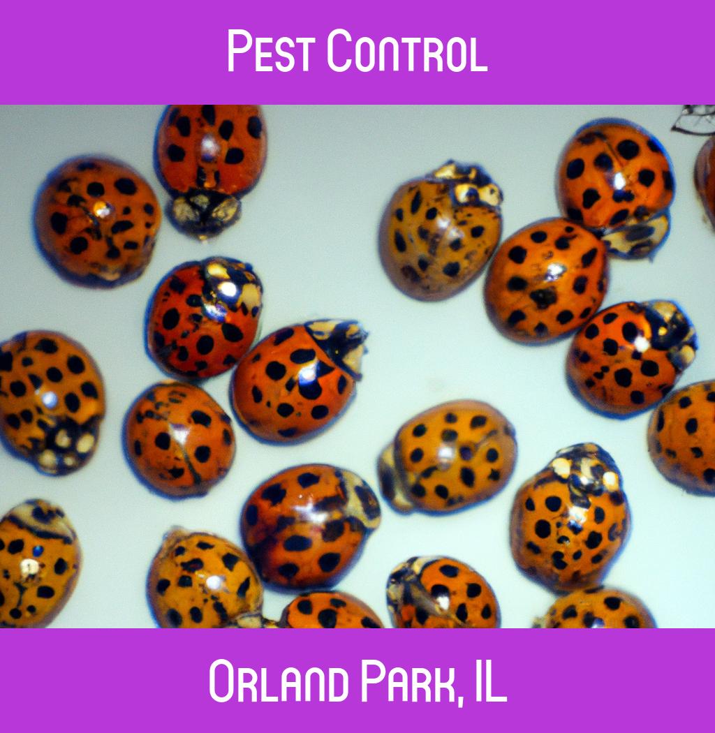 pest control in Orland Park Illinois