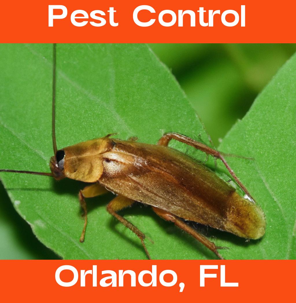 pest control in Orlando Florida