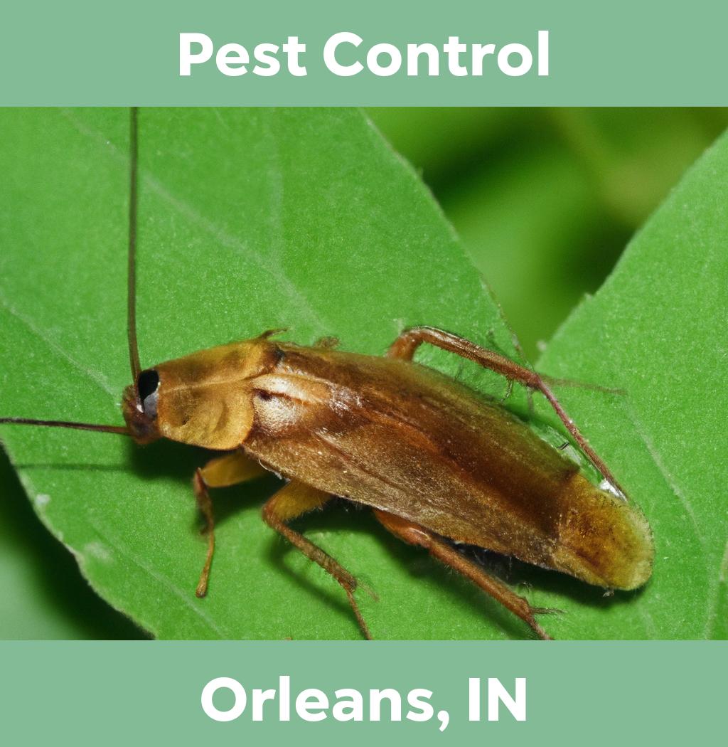 pest control in Orleans Indiana