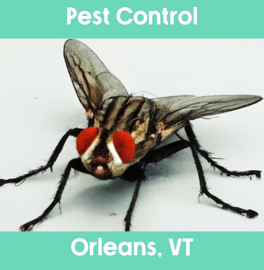 pest control in Orleans Vermont