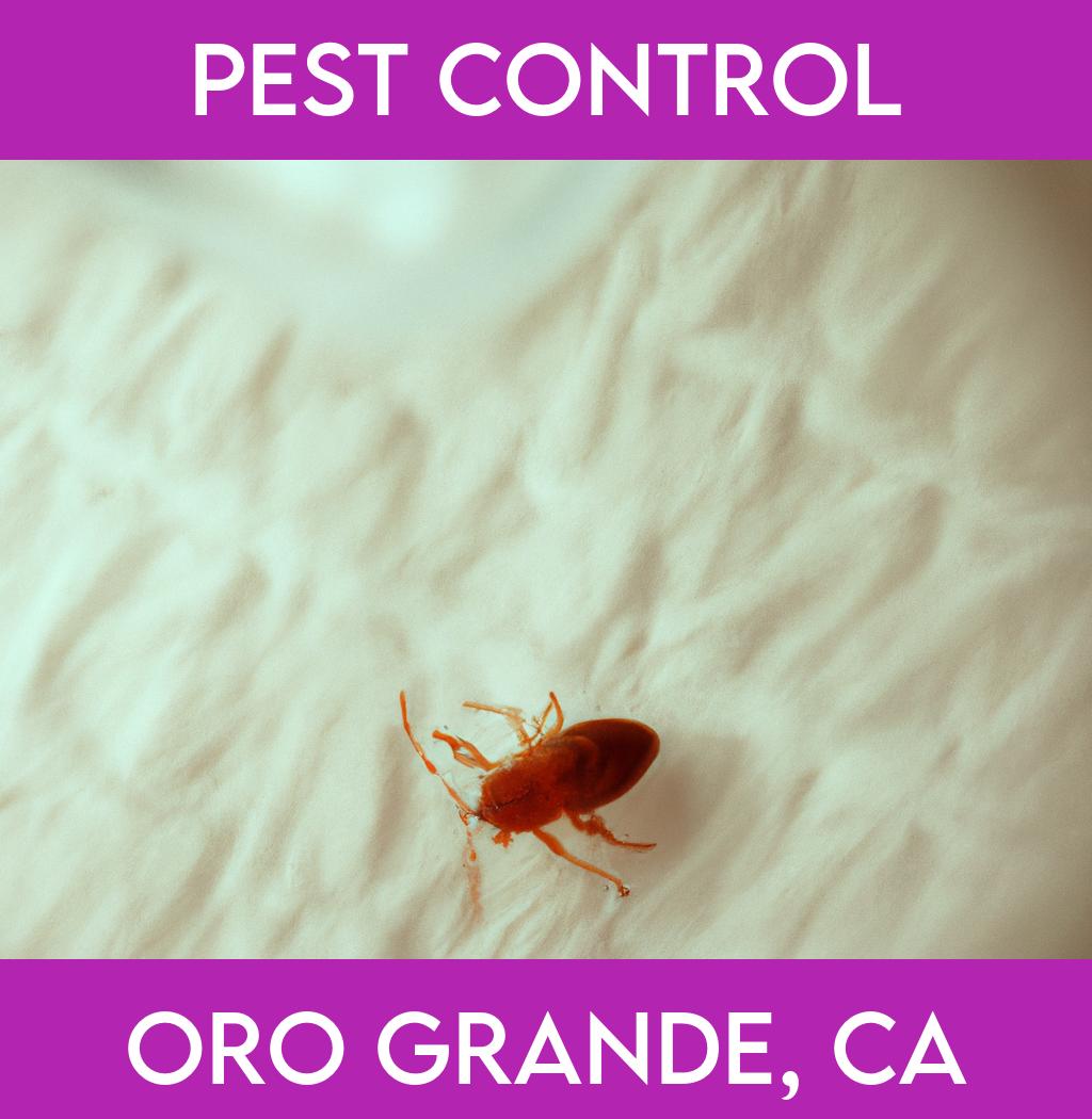 pest control in Oro Grande California