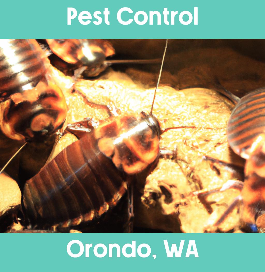 pest control in Orondo Washington