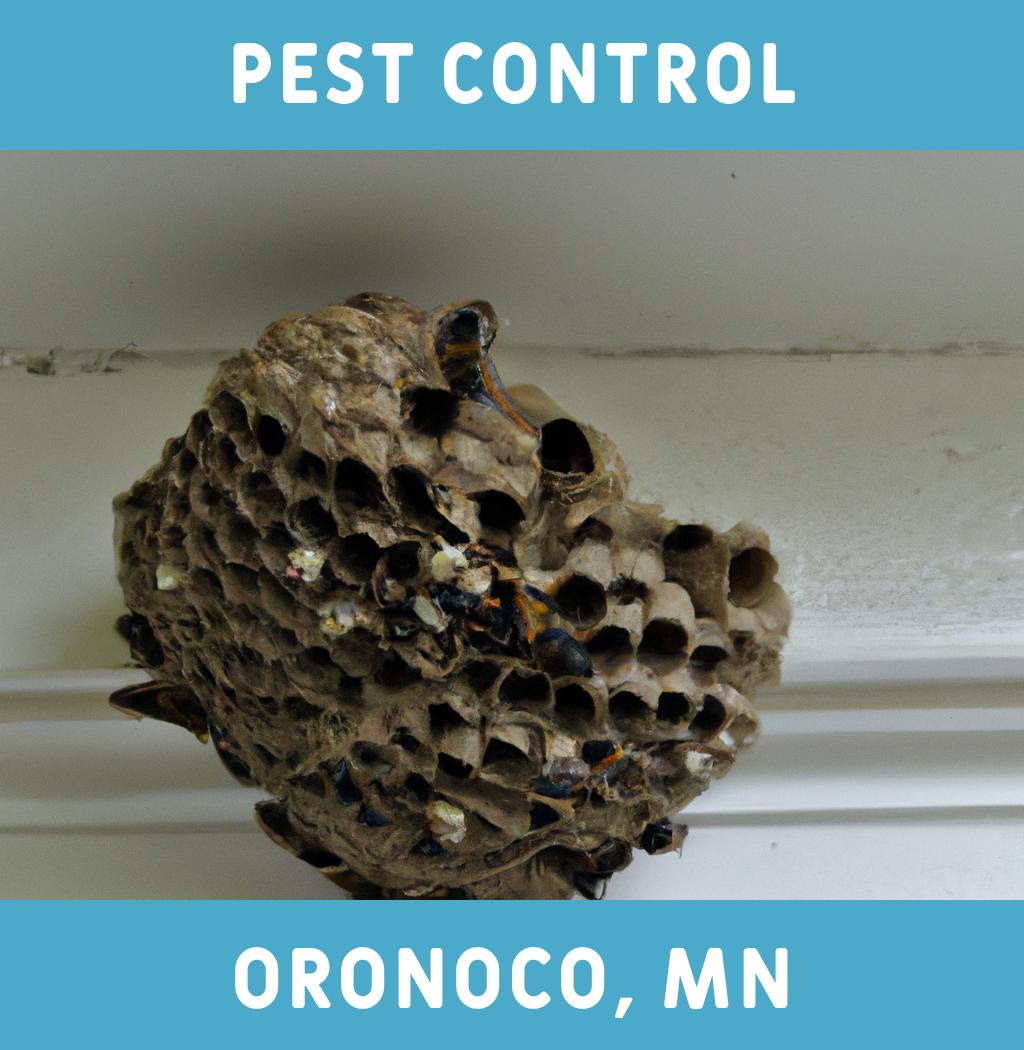 pest control in Oronoco Minnesota