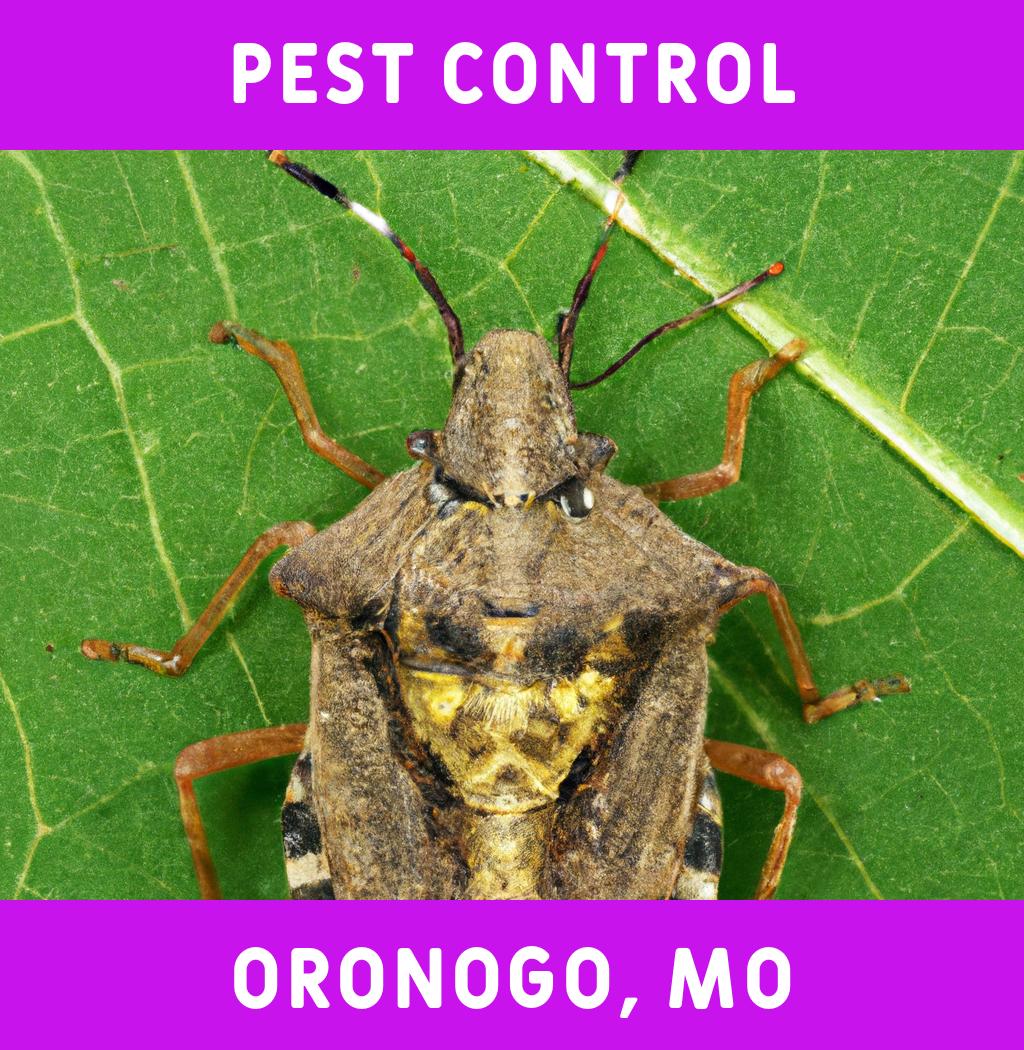 pest control in Oronogo Missouri