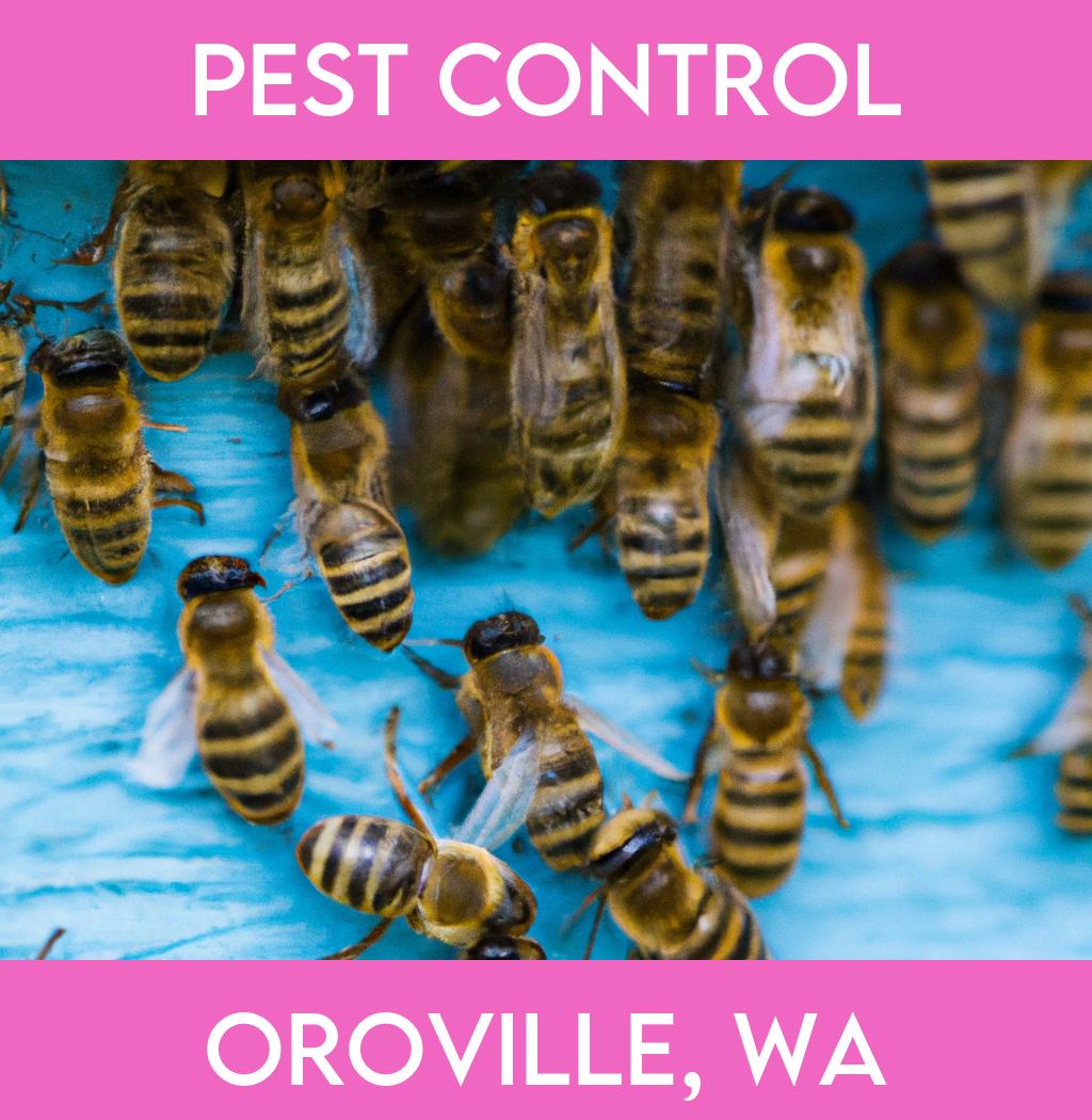 pest control in Oroville Washington