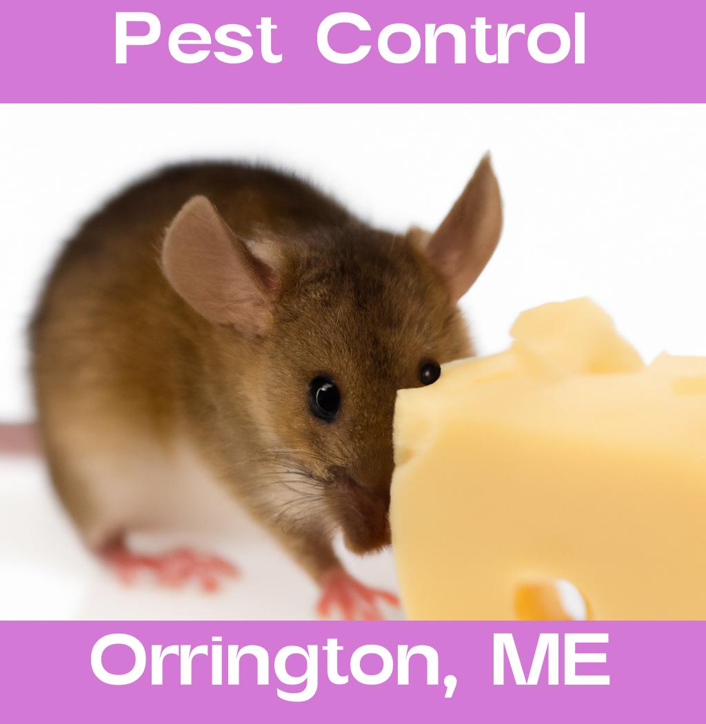 pest control in Orrington Maine