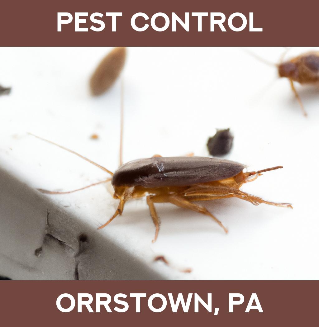 pest control in Orrstown Pennsylvania