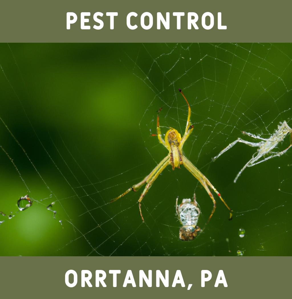 pest control in Orrtanna Pennsylvania