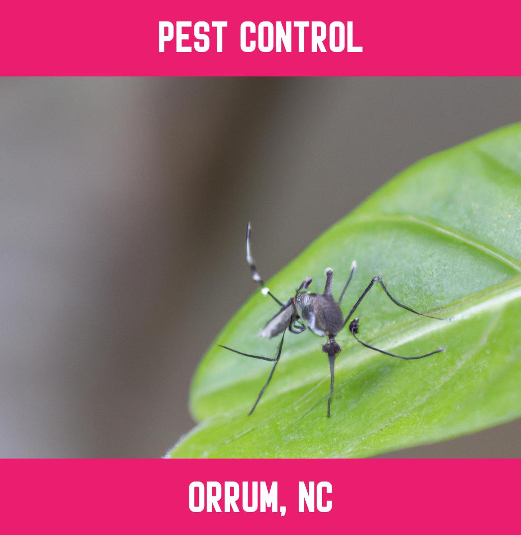 pest control in Orrum North Carolina