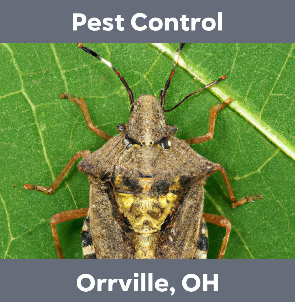 pest control in Orrville Ohio